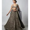 Ganishka Lehenga Set