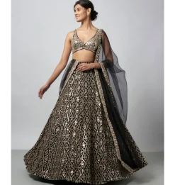 Ganishka Lehenga Set