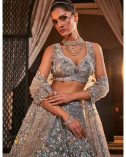 Glory Grey Embroidered Organza Lehenga Set