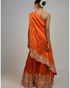 Golconda Aashna Gharara Set