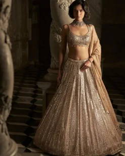 Gold Mirror Work Lehenga Set