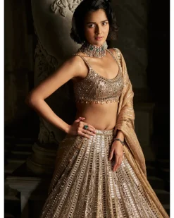 Gold Mirror Work Lehenga Set