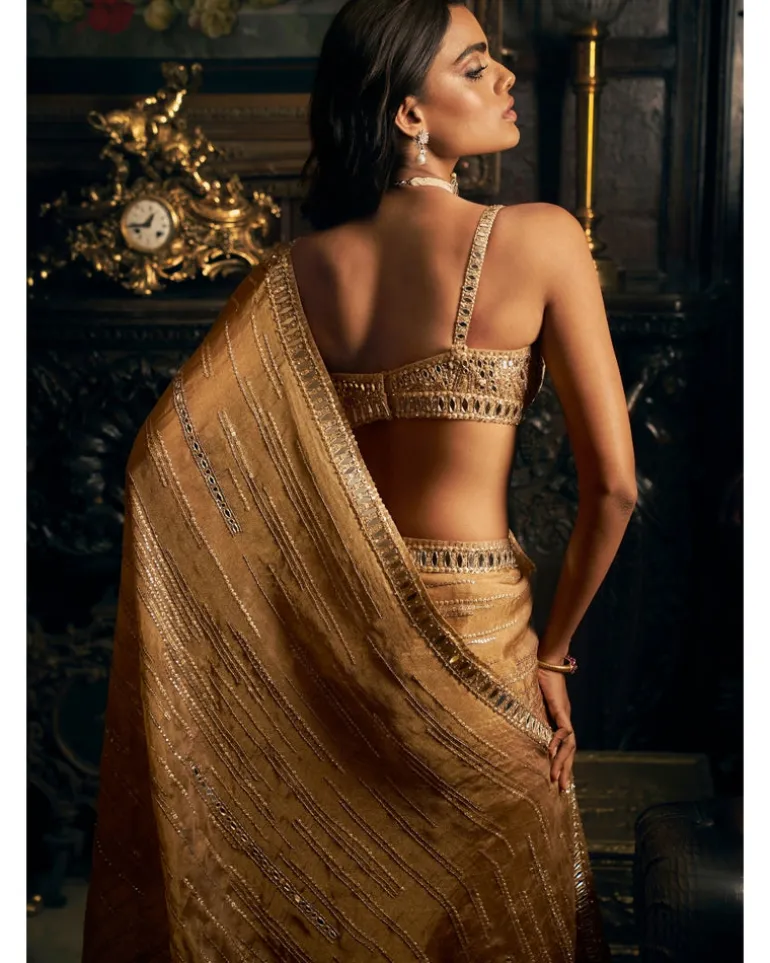 Gold Mirror work Sari Set