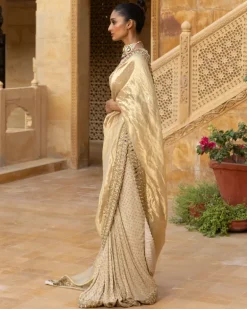 Gold Tissue & Georgette Sari Set