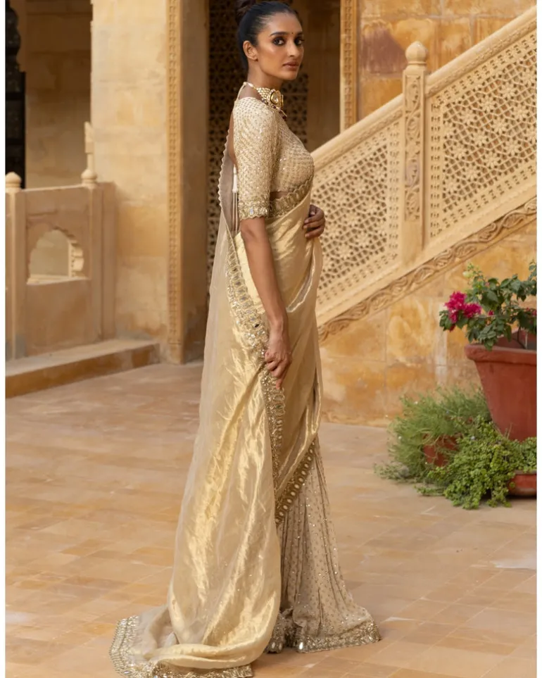 Gold Tissue & Georgette Sari Set
