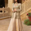 Gold Tissue Skirt Set