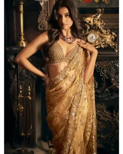 Gold Tulle Sari Set