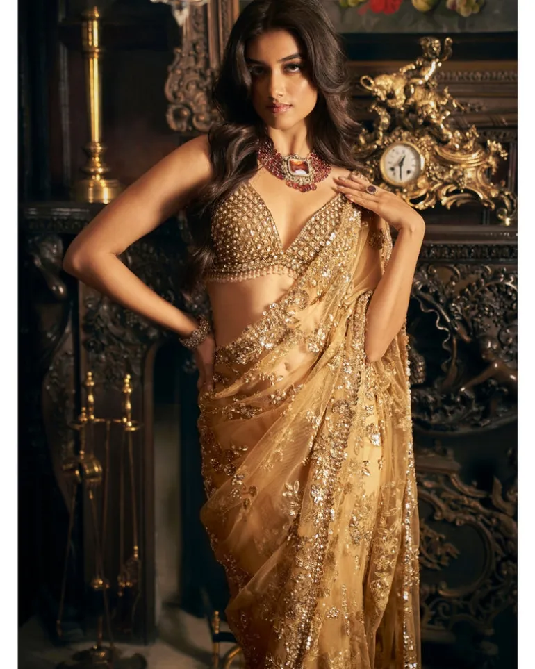 Gold Tulle Sari Set