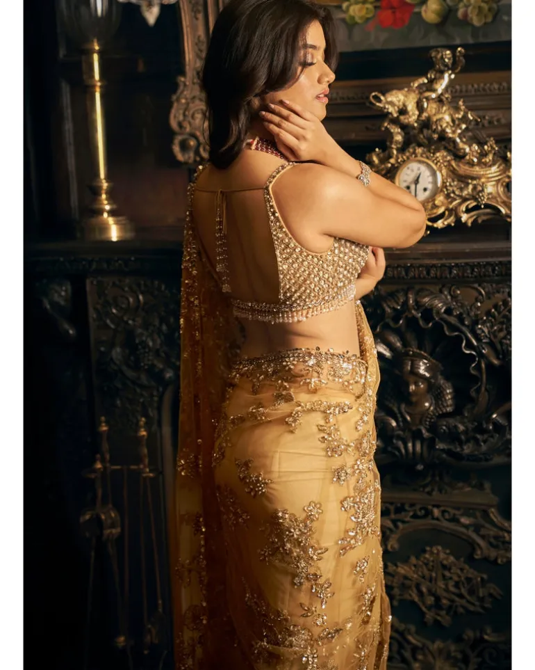 Gold Tulle Sari Set