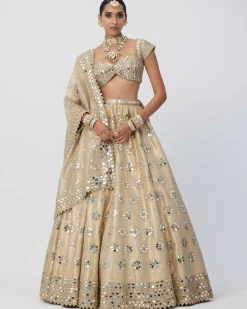 Golden Shimmer Organza Flower Lehenga Set