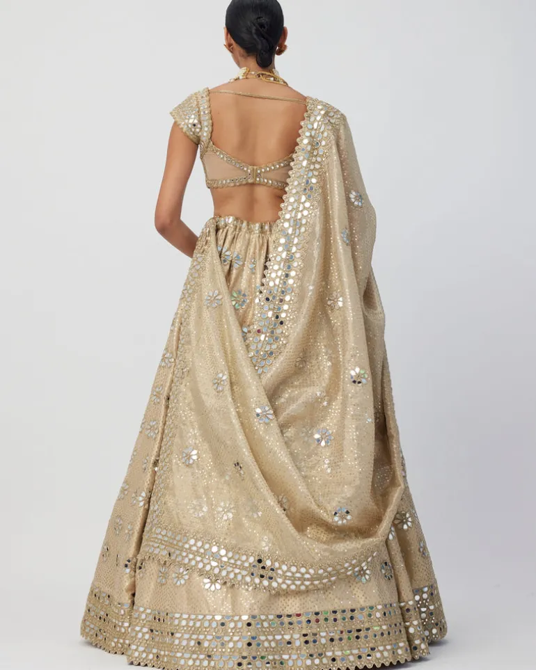 Golden Shimmer Organza Flower Lehenga Set