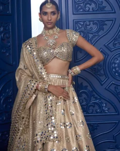 Golden Shimmer Organza Flower Lehenga Set