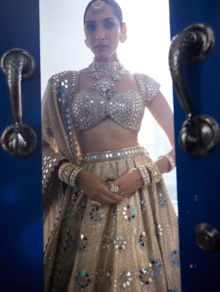 Golden Shimmer Organza Flower Lehenga Set