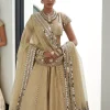 Golden Shimmer Organza Linear Lehenga Set