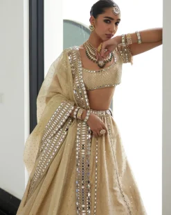 Golden Shimmer Organza Linear Lehenga Set