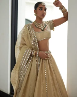 Golden Shimmer Organza Linear Lehenga Set