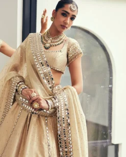 Golden Shimmer Organza Linear Lehenga Set
