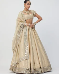 Golden Shimmer Organza Linear Lehenga Set