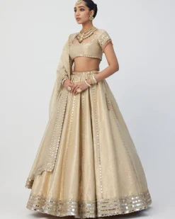 Golden Shimmer Organza Linear Lehenga Set