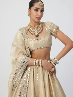 Golden Shimmer Organza Linear Lehenga Set