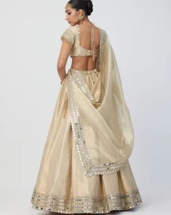 Golden Shimmer Organza Linear Lehenga Set