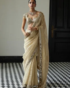 Golden Shimmer Organza Sari Set