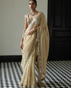 Golden Shimmer Organza Sari Set