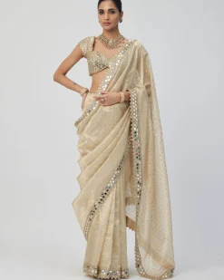 Golden Shimmer Organza Sari Set