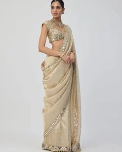 Golden Shimmer Organza Sari Set