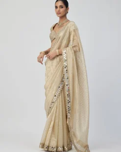 Golden Shimmer Organza Sari Set