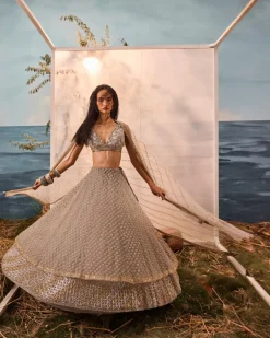 Gray 3D Flower Lehenga Set