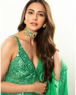 Green Mirror Work Sharara Set