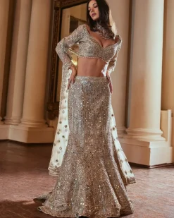 Grey Fit And Flare Lehenga Set
