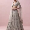 Grey Zoya 3D Embroidery Lehenga Set