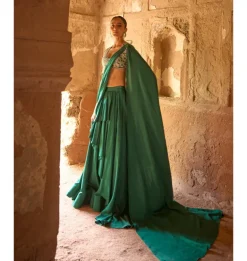 Gulbargh Pre-Draped Sari Set