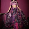 Hadia Lehenga Set