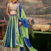 Hari Neel Lehenga Set