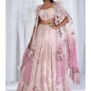 Harini Chantilly Lehenga Set