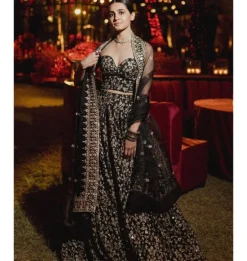 Harshini Lehenga Set