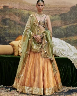 Ina Sheesh Lehenga Set
