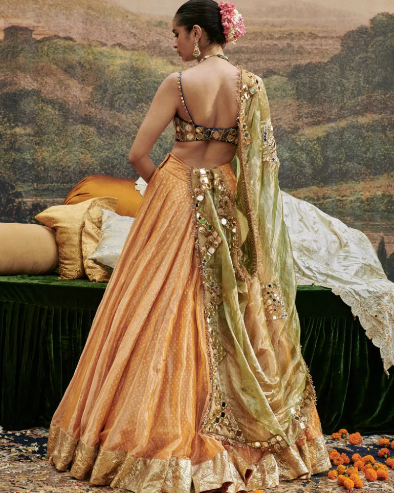 Ina Sheesh Lehenga Set