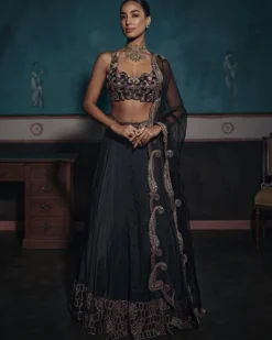 Inas Lehenga Set