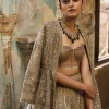 Ivore Embroidered Lehenga Set