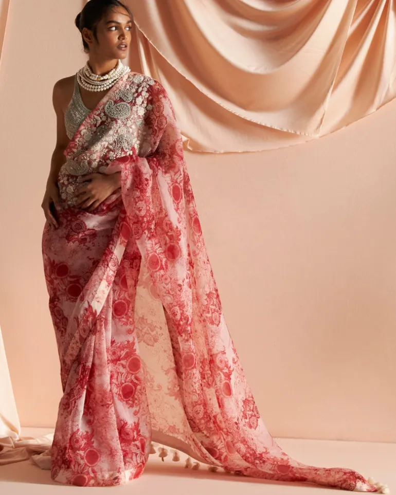 Ivory & Red Embroidered Blossom Sari