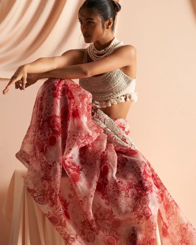 Ivory & Red Embroidered Blossom Sari