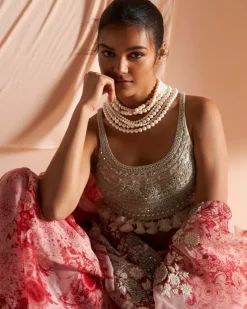 Ivory & Red Embroidered Blossom Sari