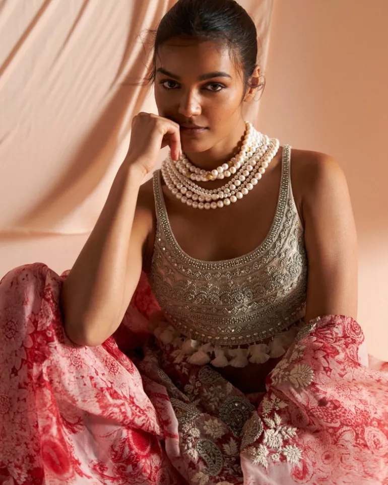 Ivory & Red Embroidered Blossom Sari