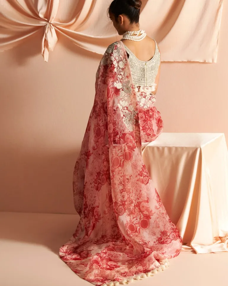Ivory & Red Embroidered Blossom Sari