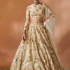 Ivory And Gold Heavily Embroidered Lehenga Set