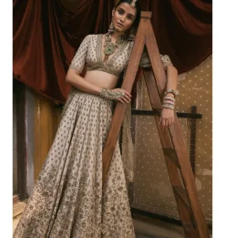 Ivory Tissue With Dabka And Gota Work Lehenga Set